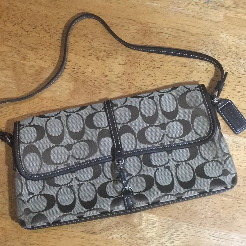Coach Signature Demi Pouch Handbag